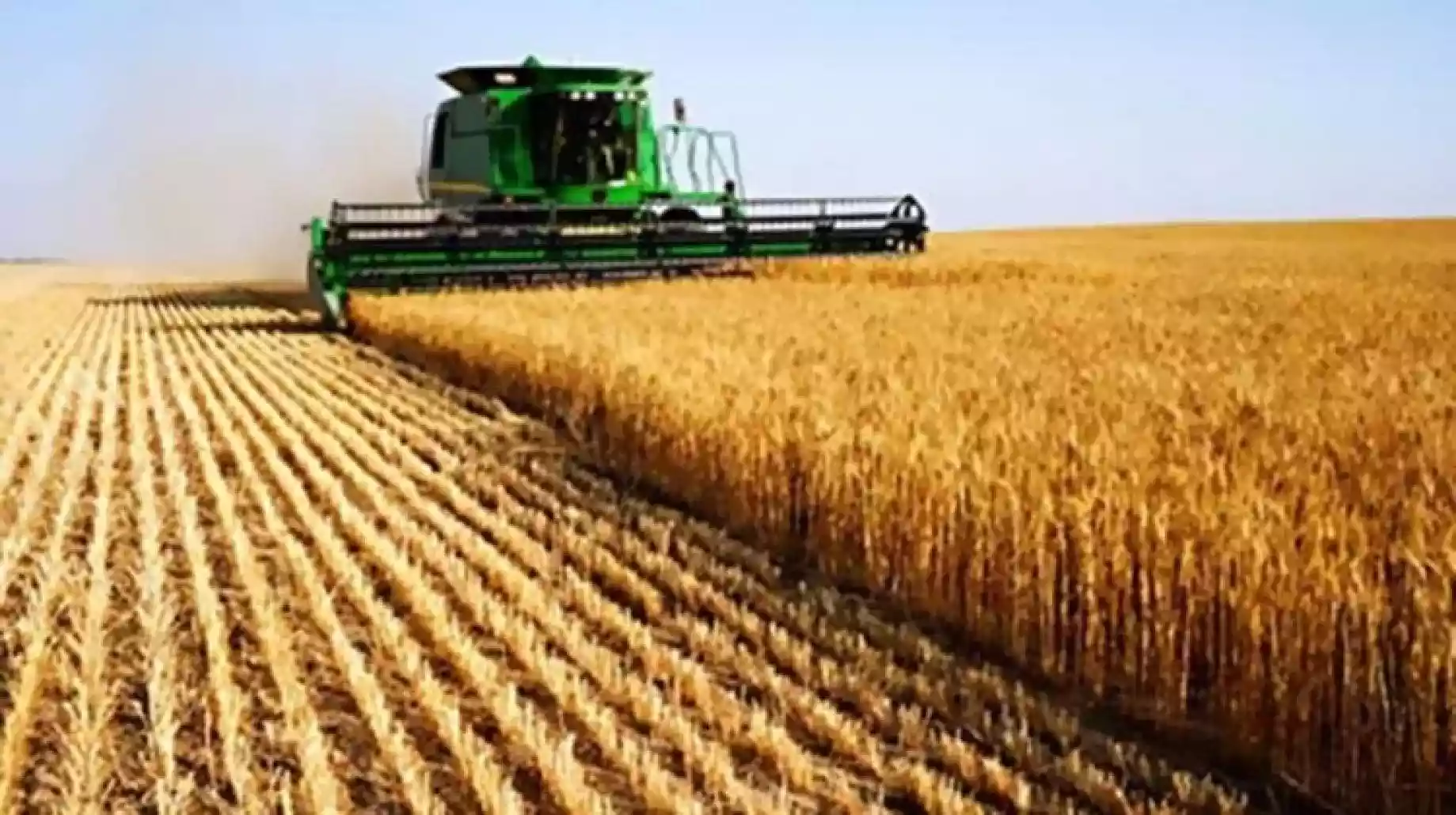 روسيا  تتوقع تصدير أكثر من 37 مليون طن من الحبوب