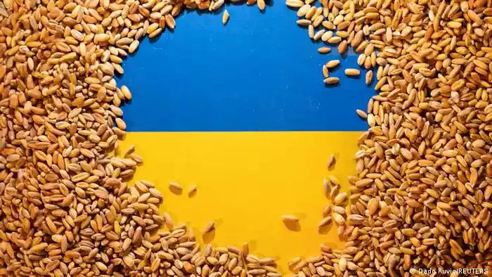 أوكرانيا تستعد لتصدير الحبوب رغم الضربة الروسية