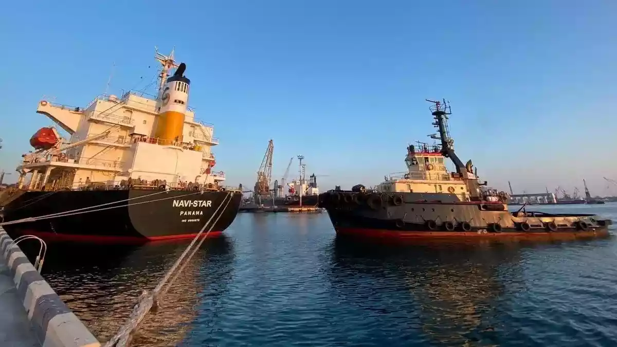 وصول سفينة محملة بـ33 ألف طن ذرة من أوكرانيا إلى إسطنبول
