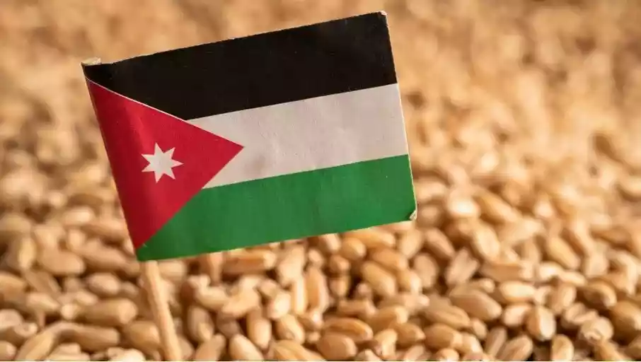 الحكومة للأردنيين: ازرعوا القمح
