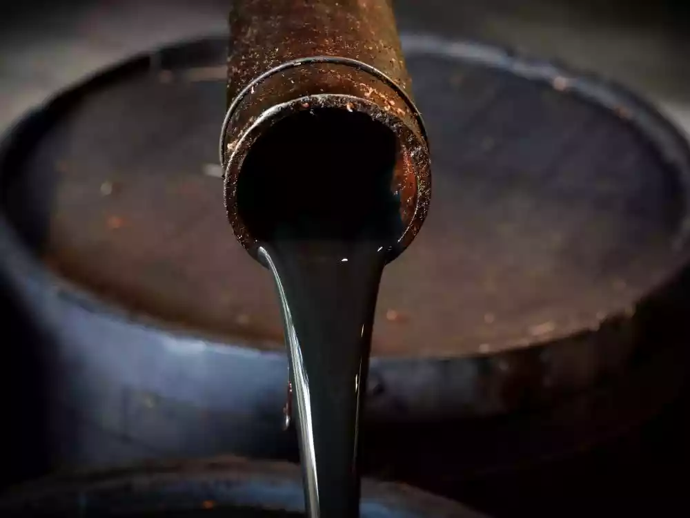 الشوبكي: الحكومة لم تتوقع تراجع أسعار النفط وتسرعت بالقرار