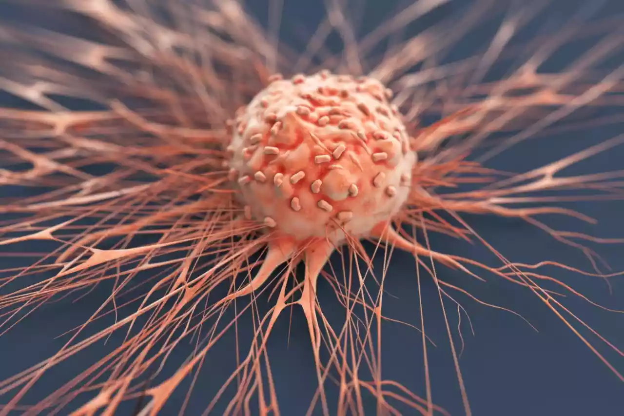 من هي الفئات الأكثر عرضة للاصابة بالسرطان؟