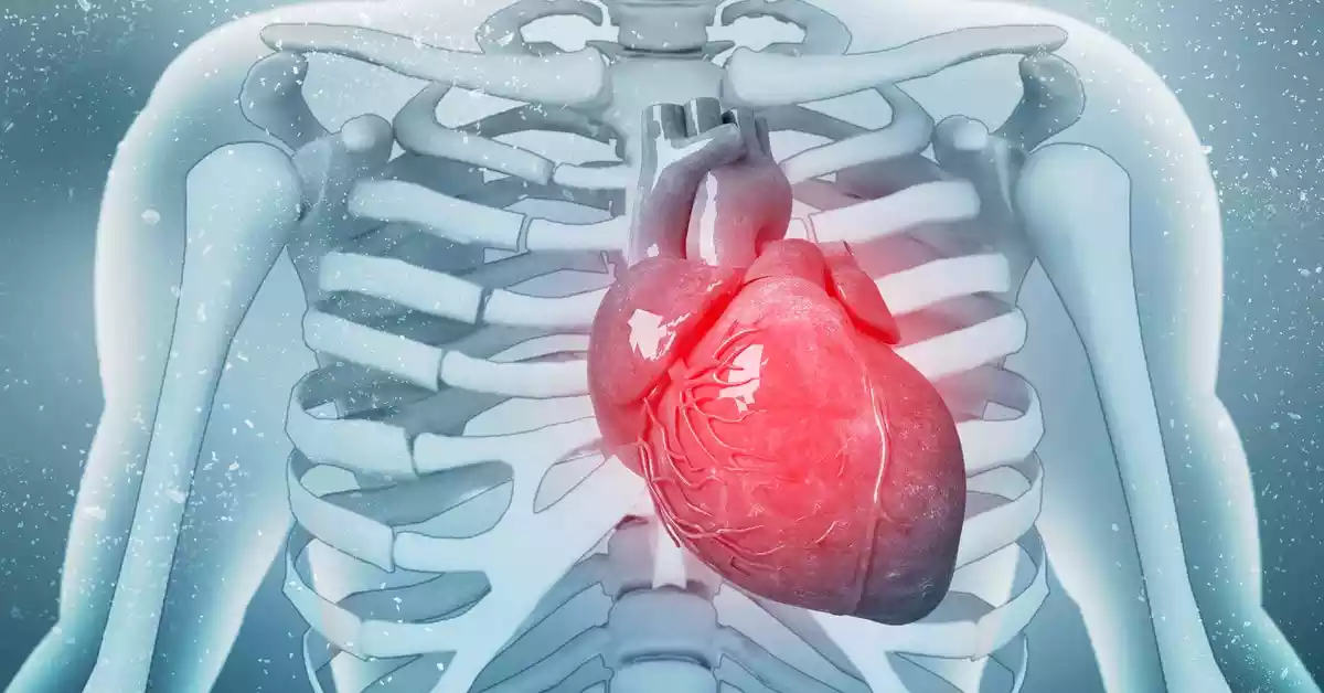العلاجات الحديثة لضعف عضلة القلب
