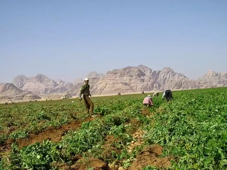 مزارعو وادي الأردن يحبسون أنفاسهم