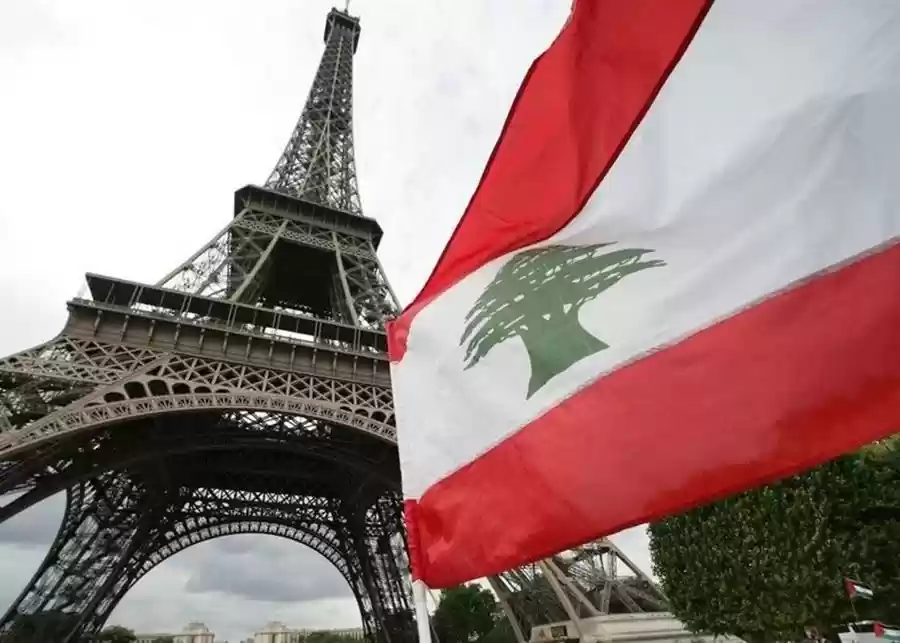 الخارجية تدين هجوم لبنان.. وتعزي فرنسا