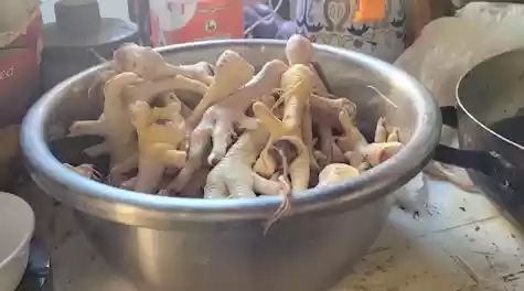 فيديو مؤلم لسيدة أردنية تُطعم أطفالها أرجل الدجاج