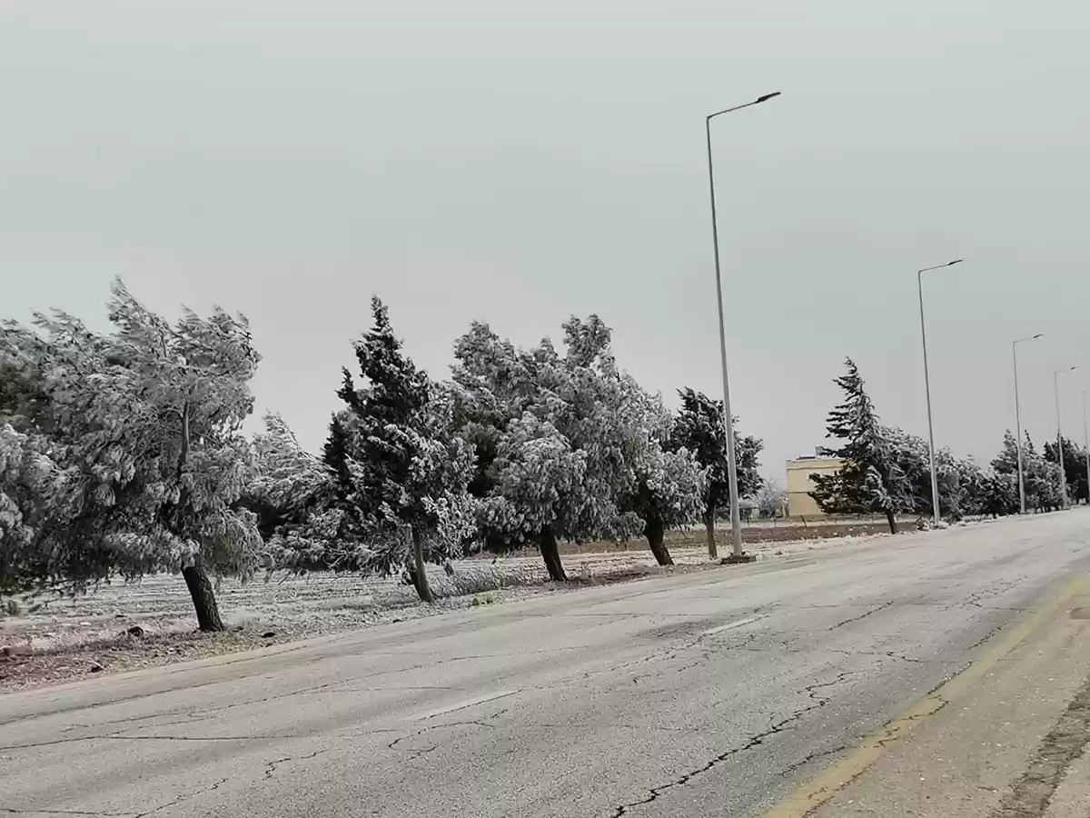 ثلوج بمنطقة رأس منيف في عجلون – فيديو
