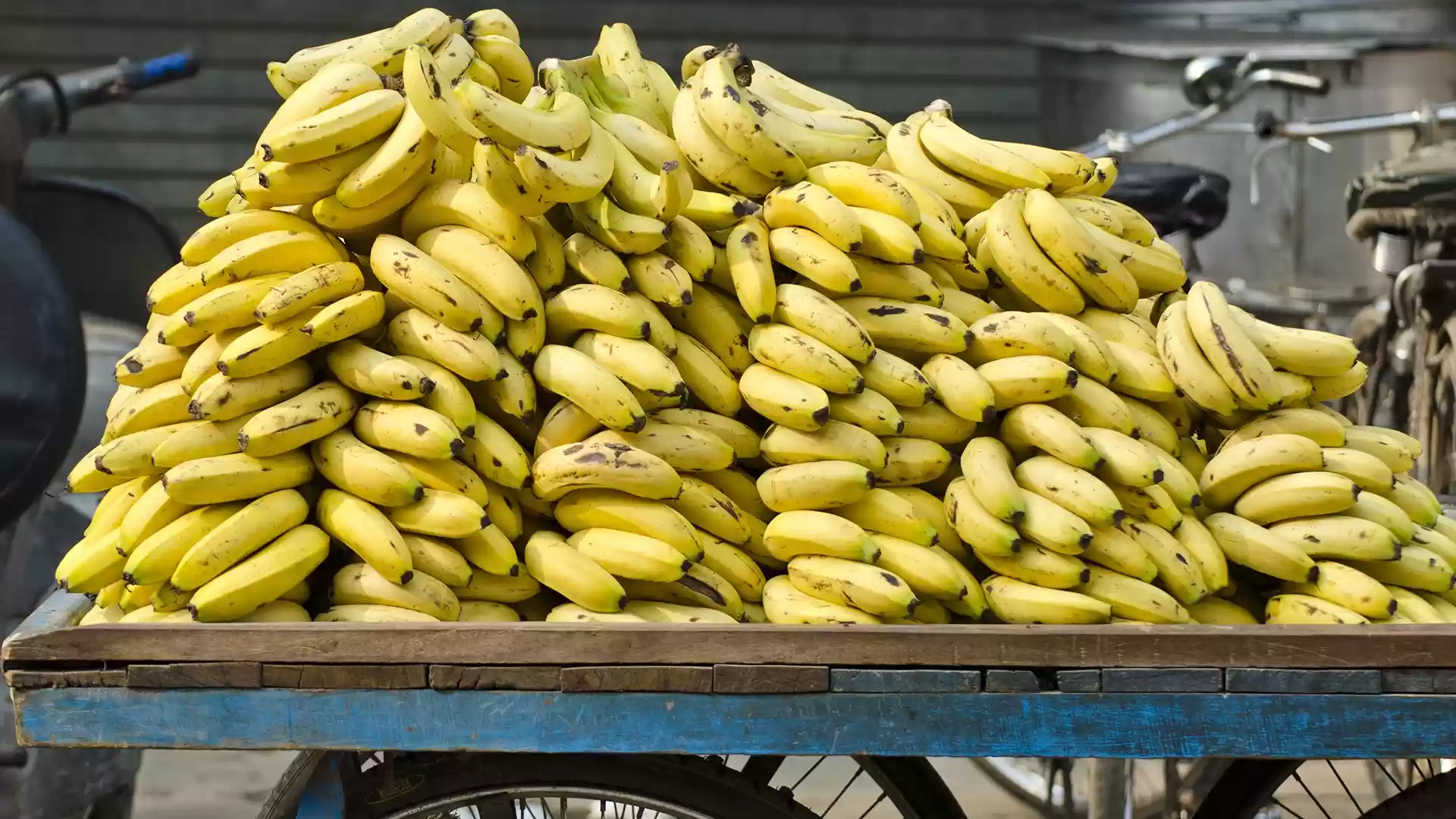 حماية المستهلك: ارتفاع أسعار الموز بشكل جنوني