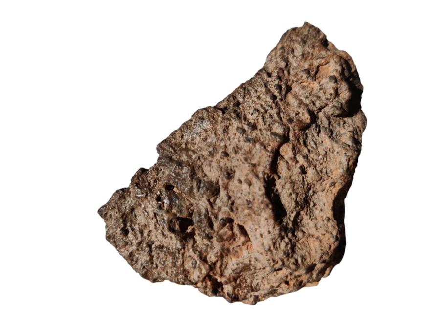 العثور على كنز علمي ثمين ونادر في الأردن