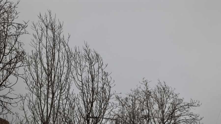 أجواء ماطرة في الجهة الغربية من المملكة وتحذيرات من تدنى مدى الرؤية