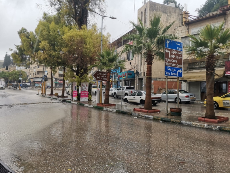 أمطار عجلون تنعش الموسم الزراعي وتبشر بمحاصيل أوفر ومراعي أفضل