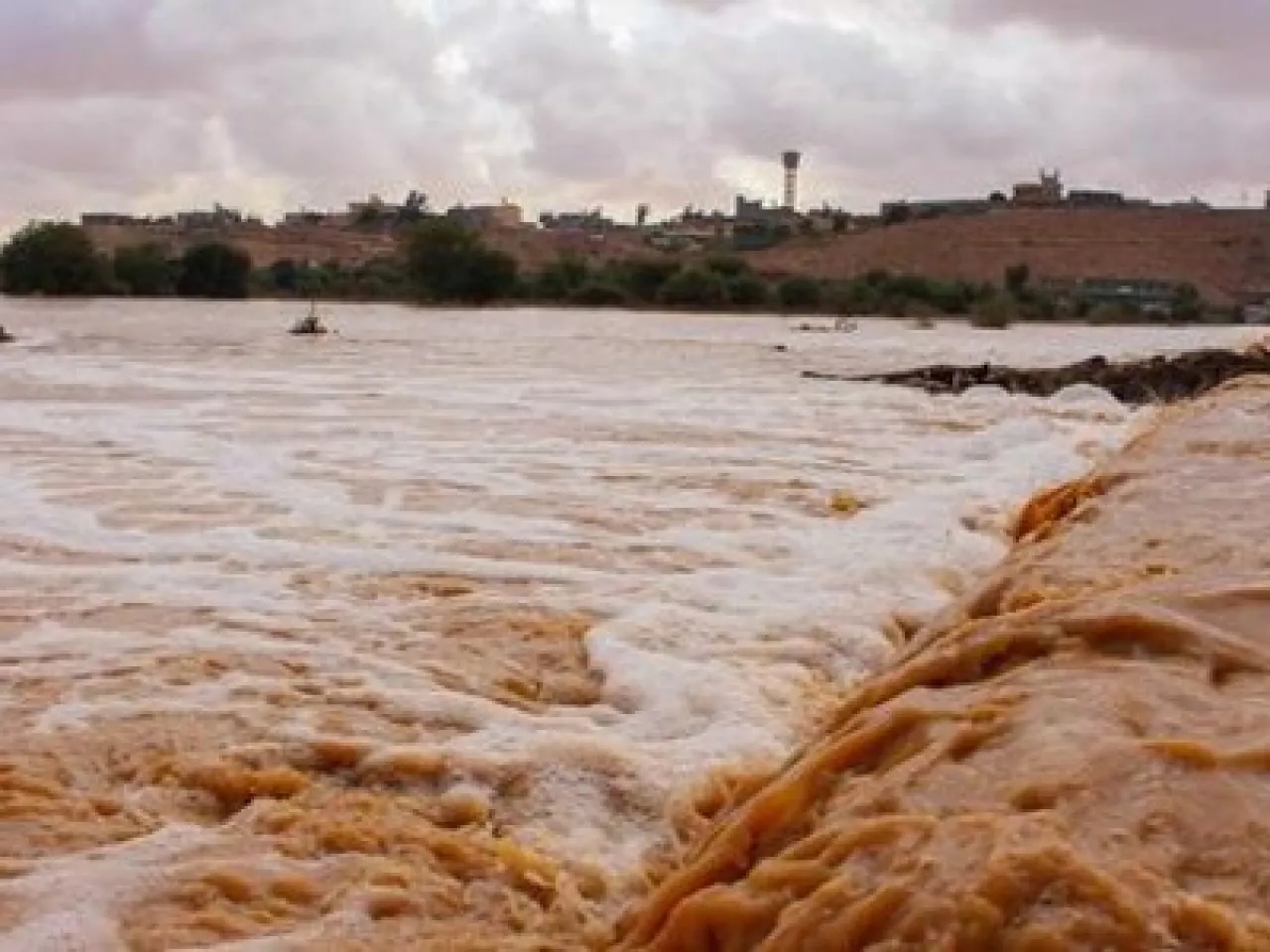 محافظ الكرك: خطة شمولية لتصريف السيول ومعالجة الانهيارات 