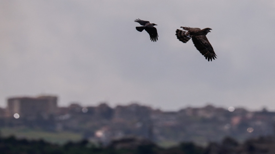 إسرائيل ترفض مناقشة وقف النار مع حزب الله في المحادثات مع لبنان