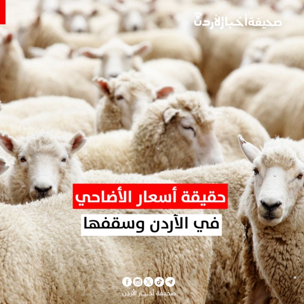 حقيقة أسعار الأضاحي في الأردن وسقفها