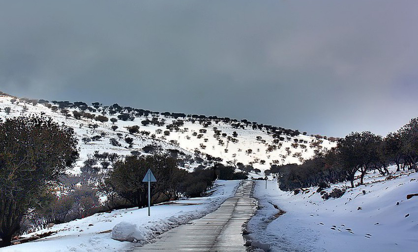 منخفض قبرصي في طريقه إلى الأردن.. وثلوج متوقعه فوق قمم الشراه