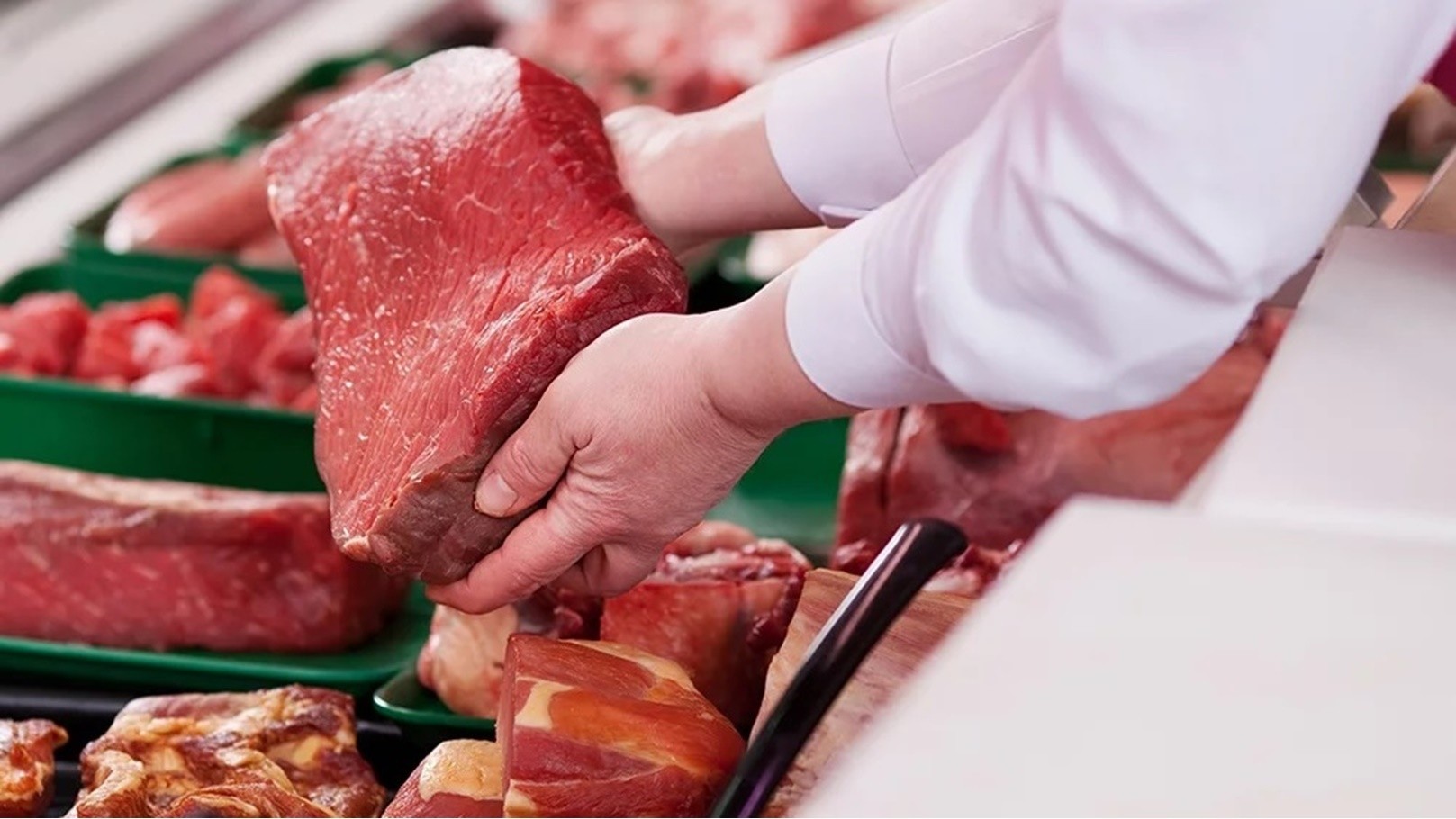 نقابة البيطريين: لا خطر من اللحم المصاب بالحمى القلاعية