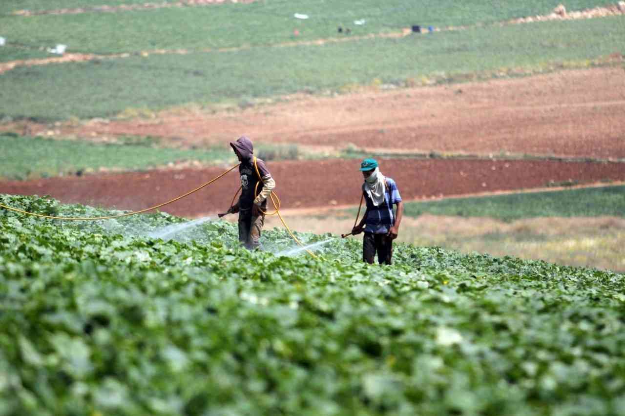 إقرار نظام تعويض المزارعين المتضررين من المخاطر الزراعية