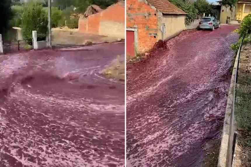 بالفيديو.. نهر من النبيذ الأحمر في بلدة برتغالية