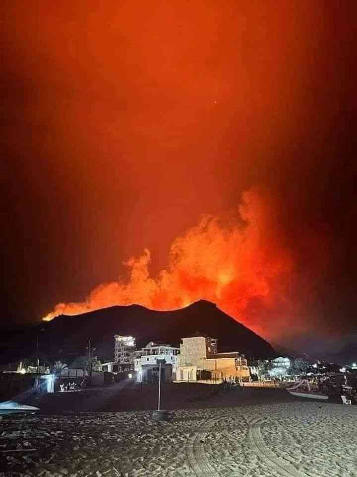 اندلاع حريق ضخم في غابات جزائرية