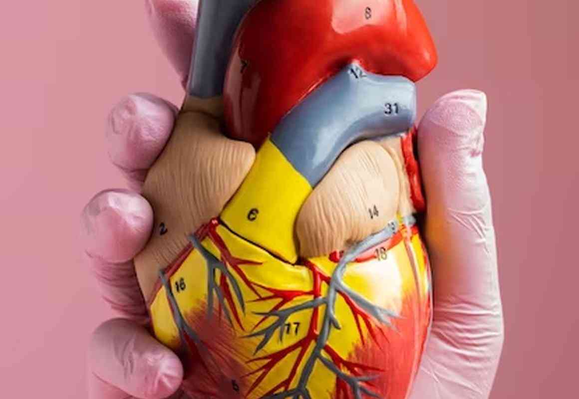 كيف تعرف إن كان الألم في الصدر سببه القلب؟