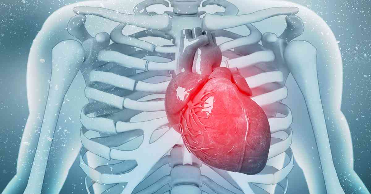 طبيب يوضح فاعلية العلاجات الحديثة لضعف عضلة القلب