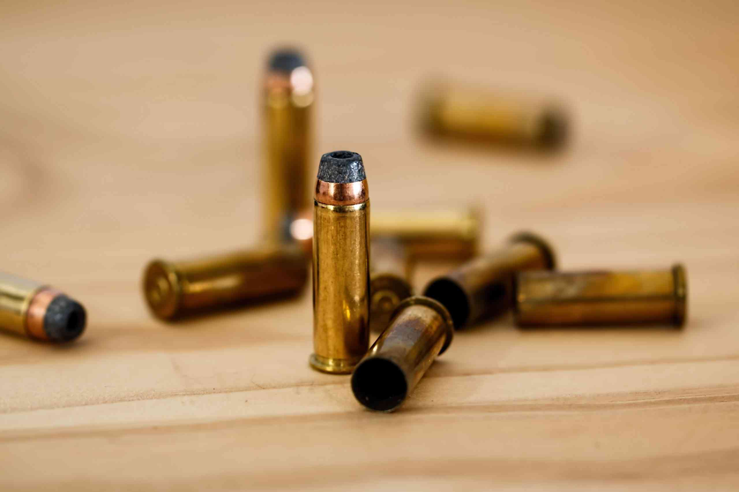 13 رصاصة.. الطب الشرعي يكشف سبب مقتل فتاة الأغوار