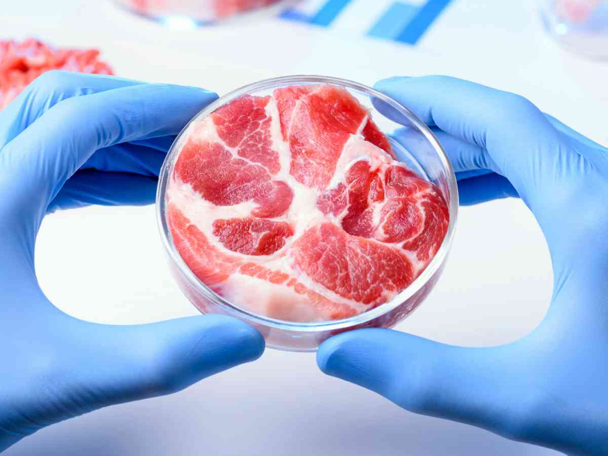 تحذير من اللحوم المصنعة
