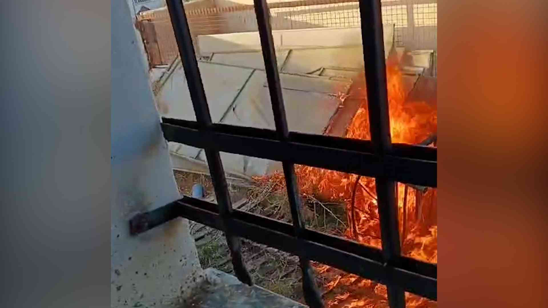 بالفيديو.. شاب يحرق معهدا صحيا في الكرك ويصرخ الله أكبر
