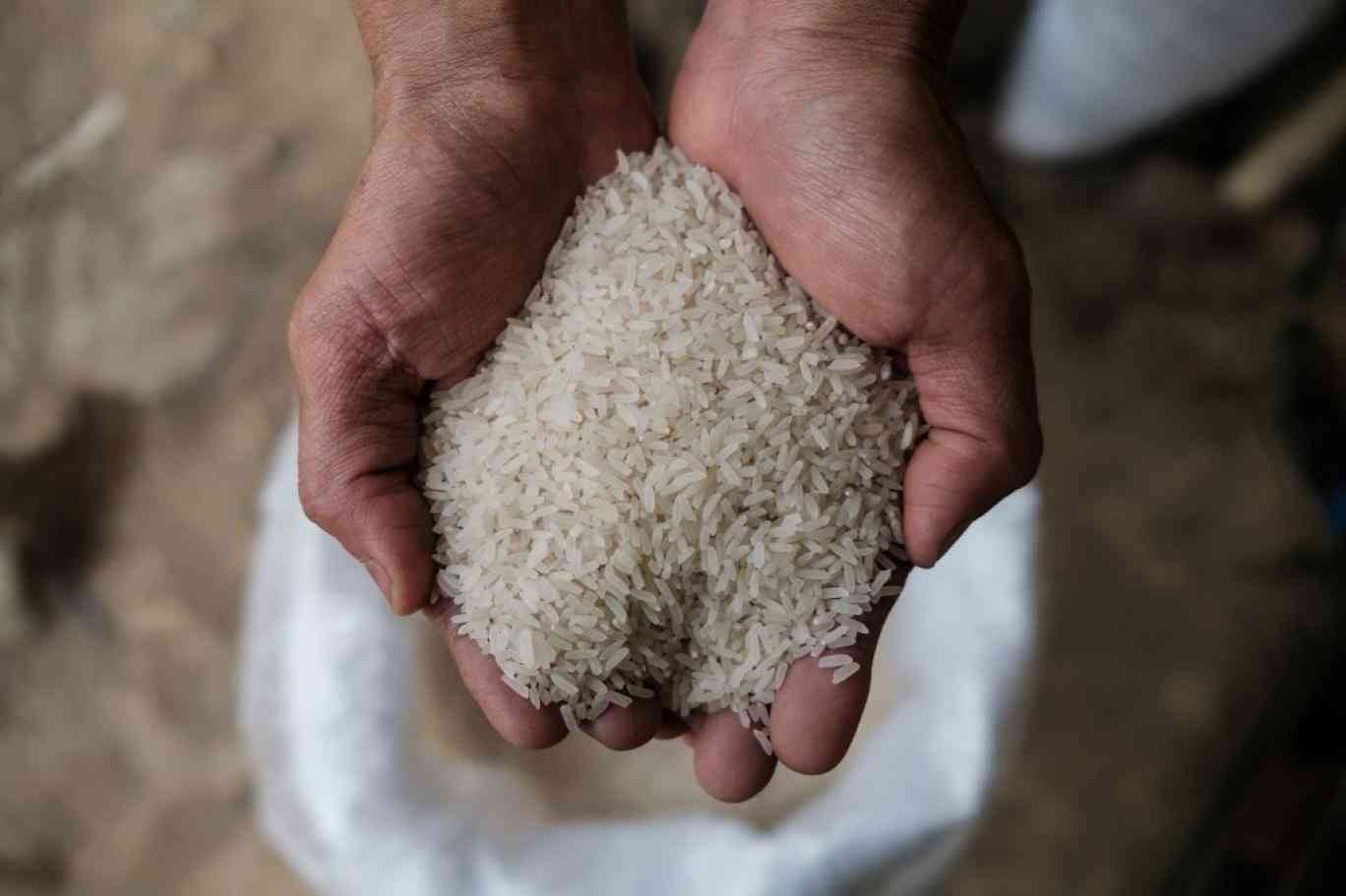 ارتفاع جنوني لأسعار الأرز