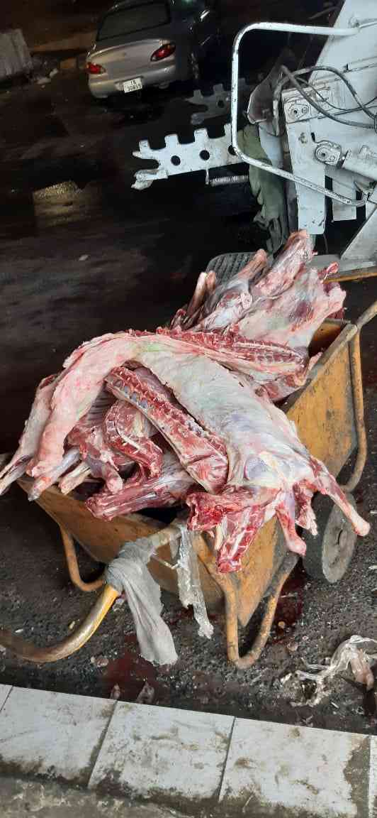 أمانة عمان تتلف 100كغم من اللحوم الفاسدة