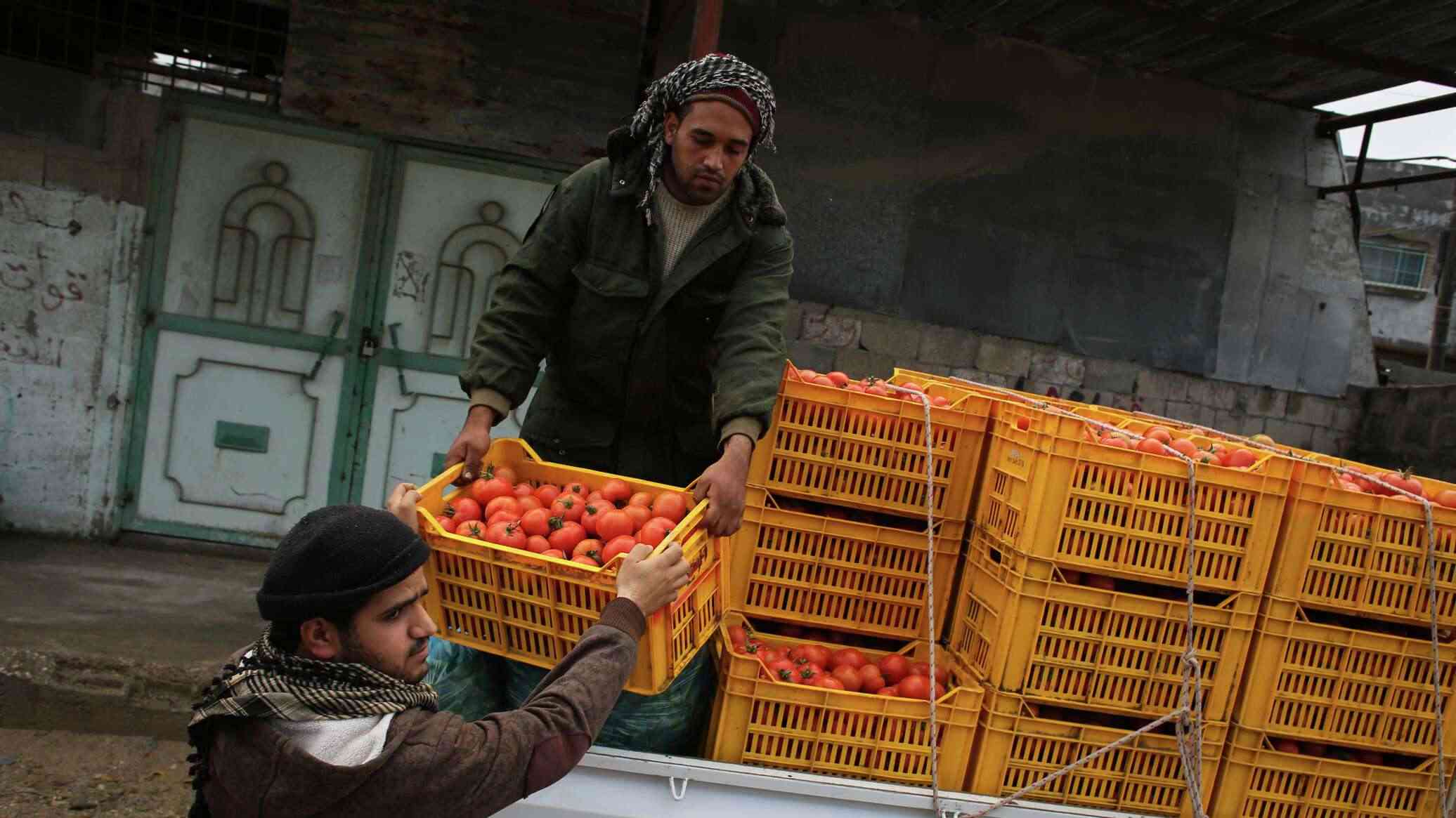 الأردن وتركيا الأكثر تصديرا.. الاحتلال يكشف الجهات التي تزود تل أبيب بالخضار