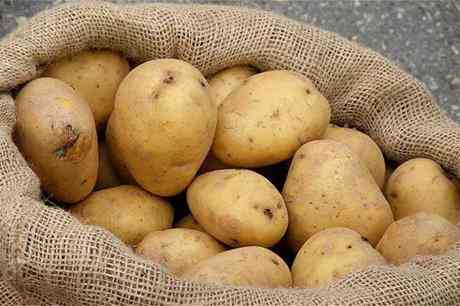 كم وصل سعر كيلو البطاطا في السوق المركزي؟