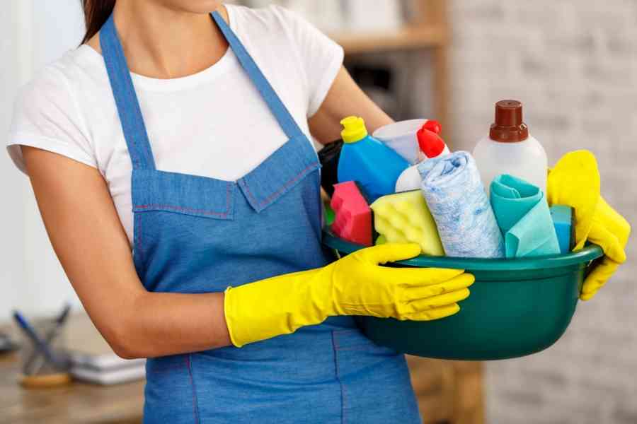 الفاعوري: استقدام عاملات منازل من بروندي أقل أجورا من الجنسيات الأخرى