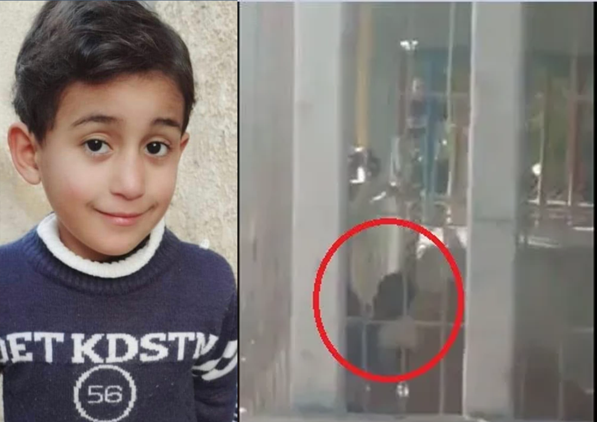ضعيف القلب لا يشاهد.. لحظة افتراس الأسد للطفل الغزي (فيديو مروع)