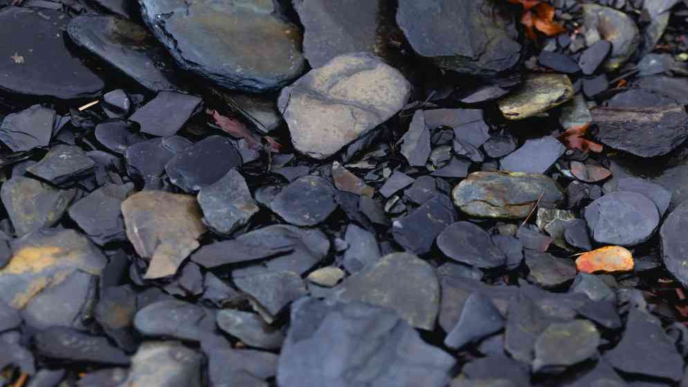 إرادة ملكية بقانون إلغاء قانون التصديق على اتفاقية للصخر الزيتي بين الأردن وشركة الكرك