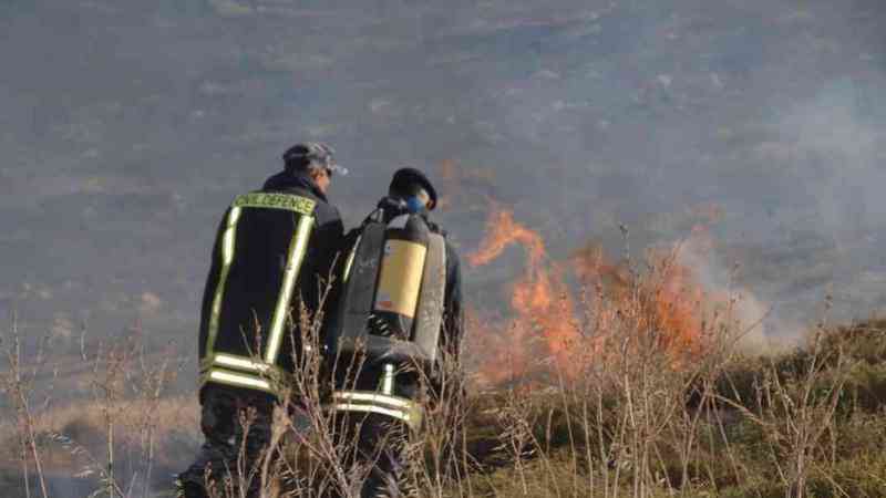 الدفاع المدني يسيطر على 673 حريقا لأعشاب ومحاصيل وأشجار