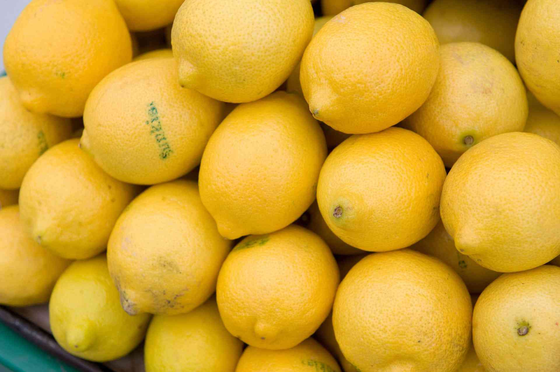 دينار ونصف سعر كيلو الليمون في عمّان