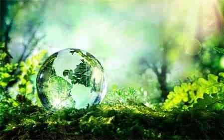 ماذا تعرف عن اليوم العالمي للبيئة؟