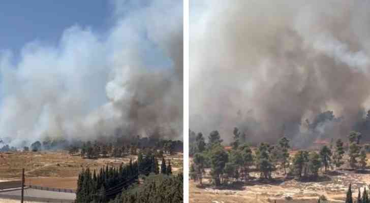 حريق هائل في متنزه عمان القومي