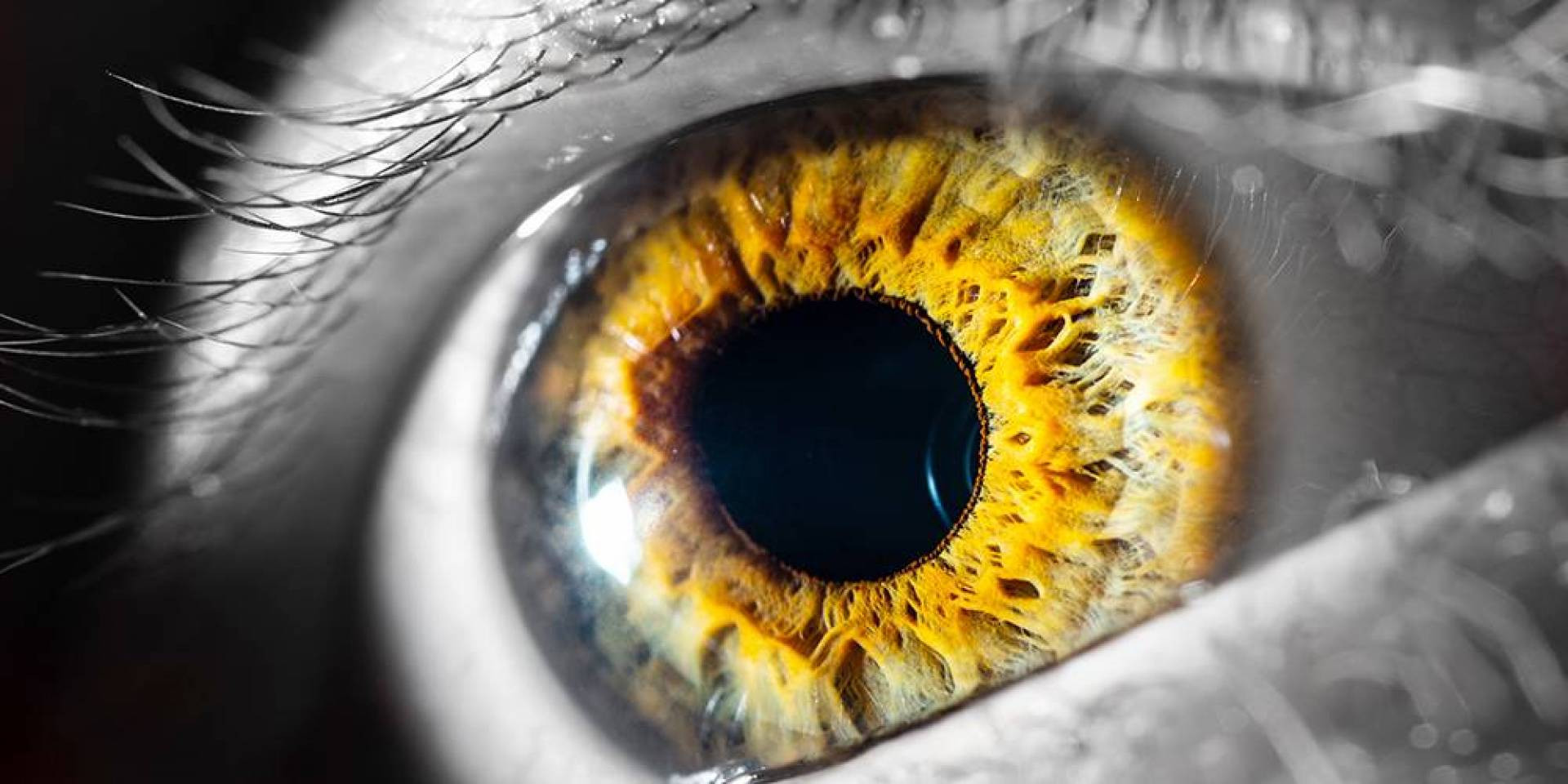 شبكية العين قد تكشف الإصابة بالزهايمر باكراً