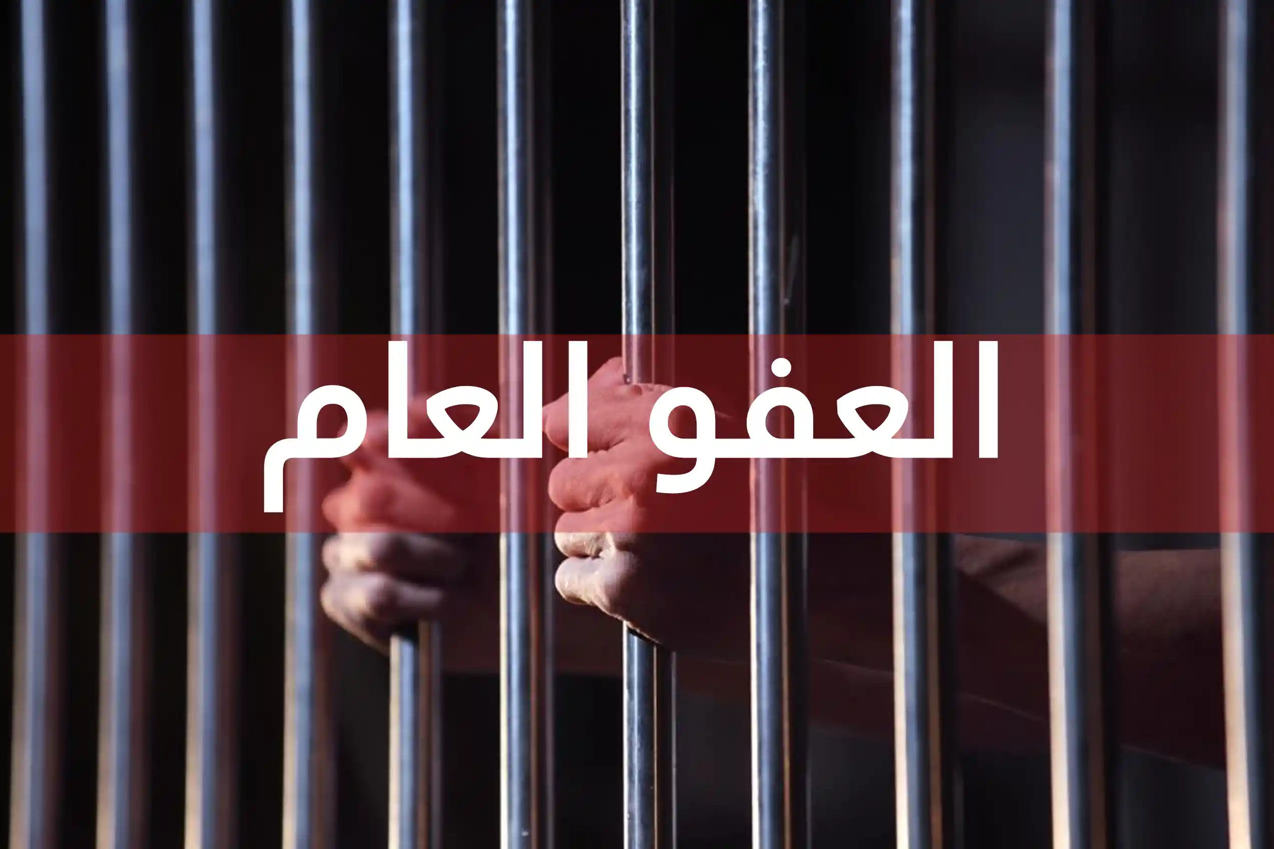 النائب الفايز للأردنيين: العفو العام قادم